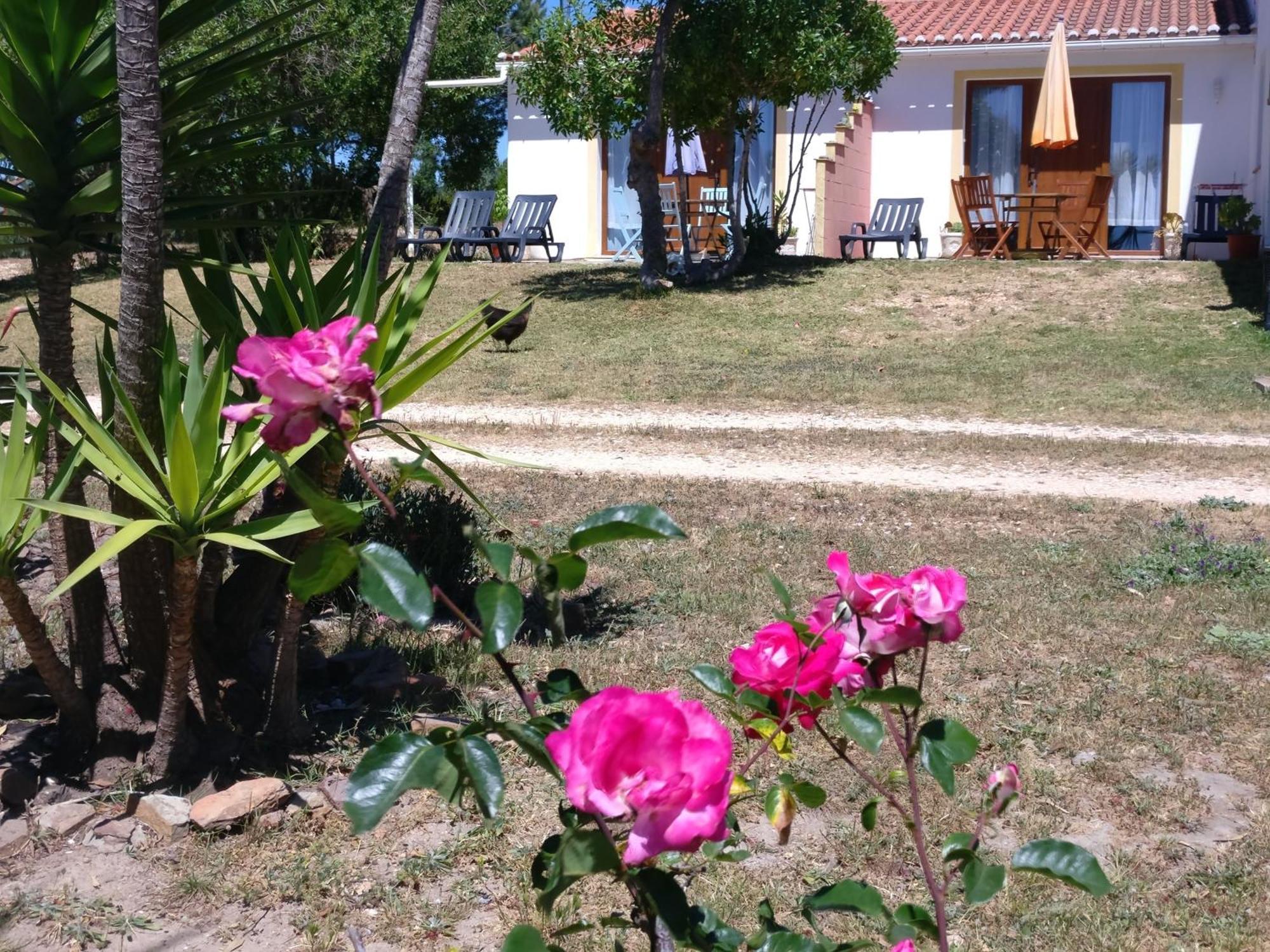 Quinta Reuffurth Appartement