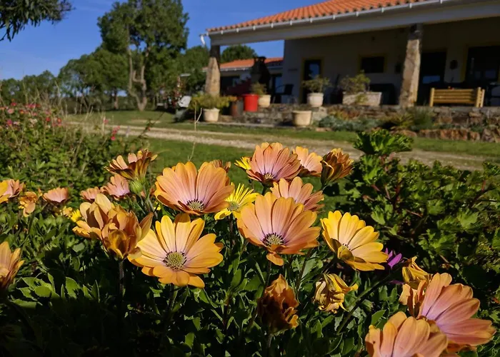 Quinta Reuffurth