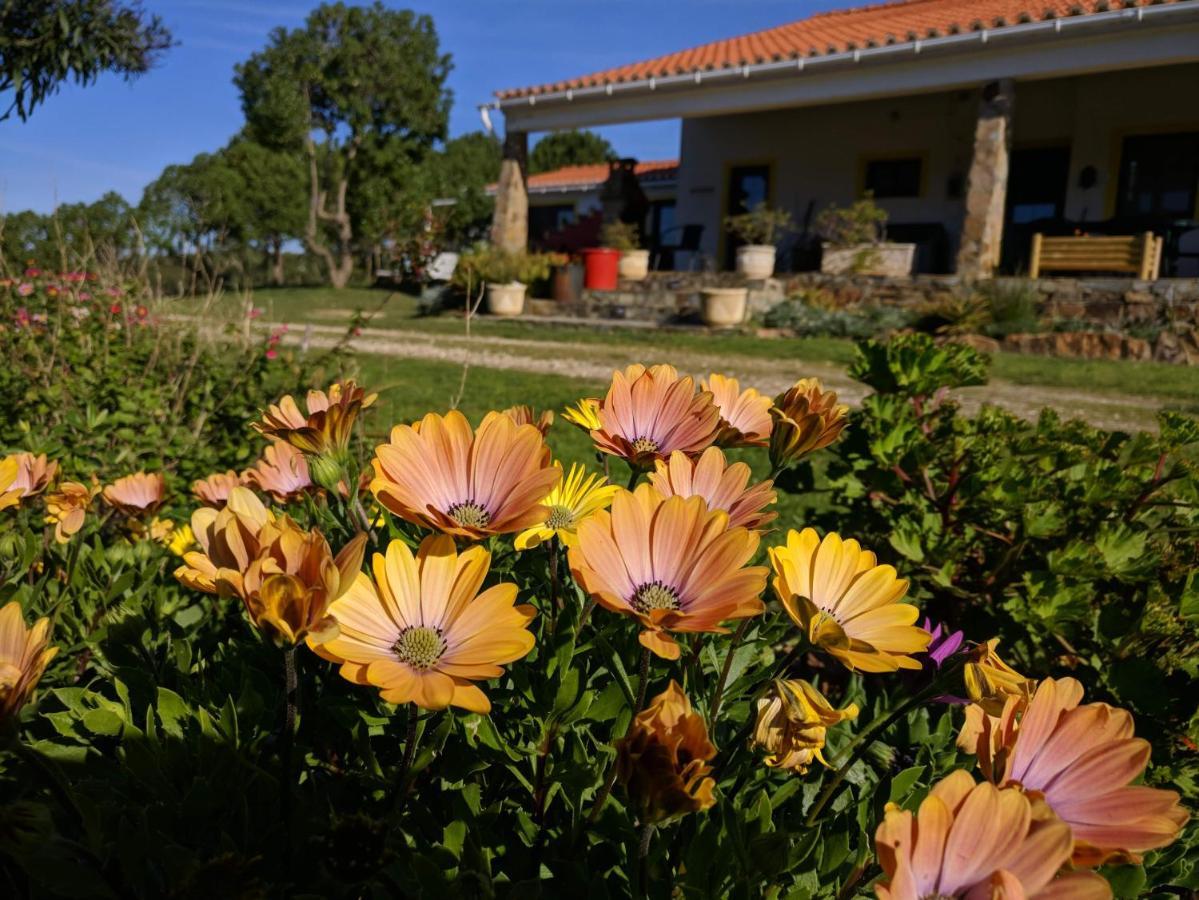 Quinta Reuffurth * Aljezur