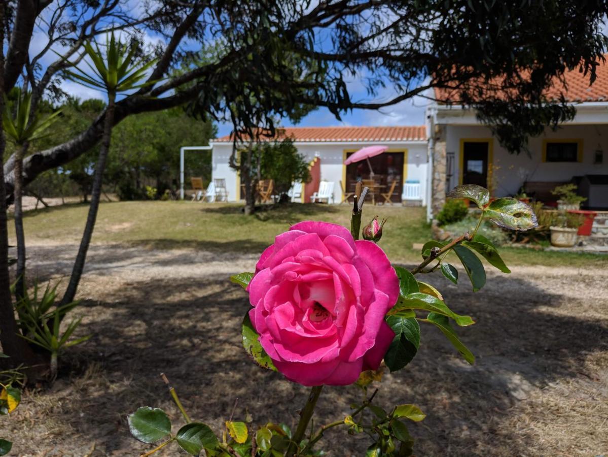 Quinta Reuffurth