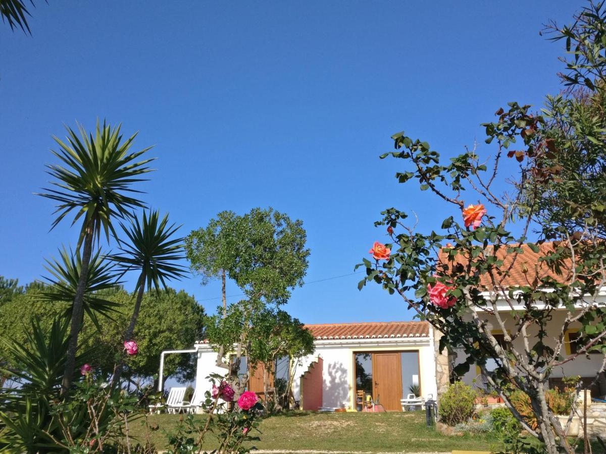 Quinta Reuffurth