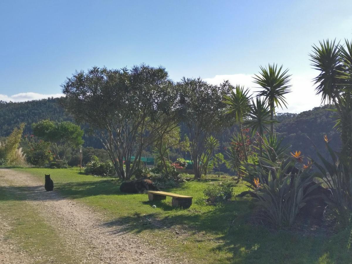 Quinta Reuffurth * Aljezur
