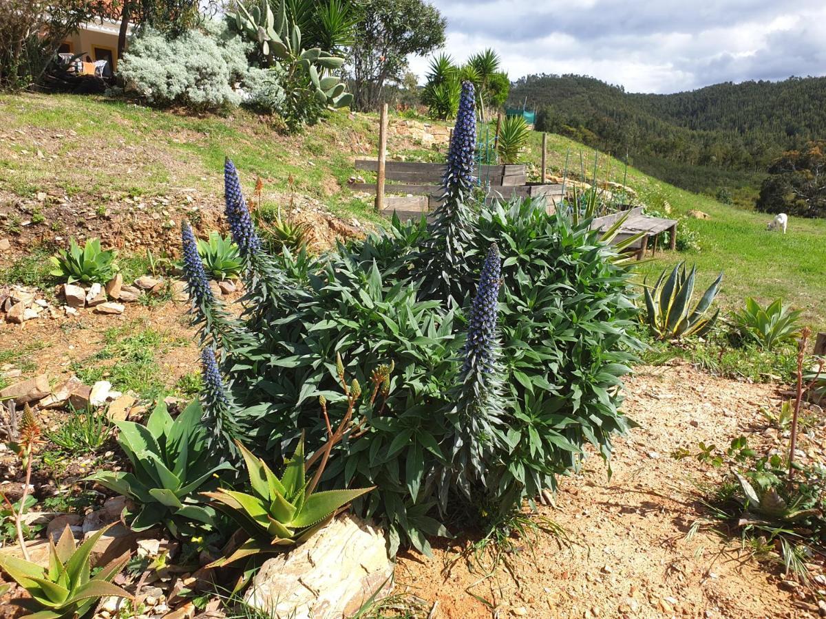 Quinta Reuffurth Aljezur